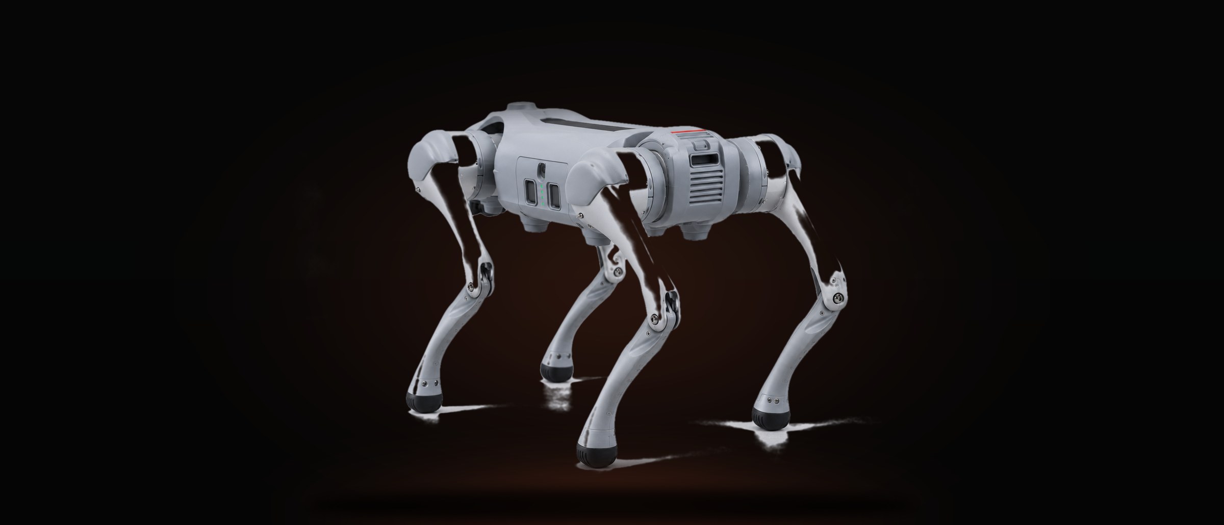Rex seen from behind, walking away into darkness.